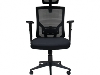 cadeira-mesh-executiva-ergonomica-cajuste-lombar (1)
